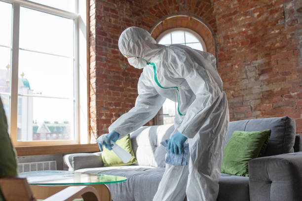 Best Mold Remediation for Healthcare Facilities  in Rancho Cumonga, CA