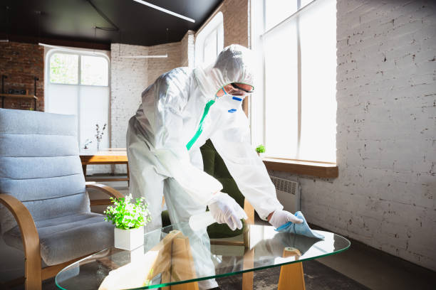 Why You Should Choose Our Mold Remediation Services in Rancho Cucamonga, CA