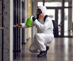 Mold Remediation for Rental Properties in Rancho Cucamonga, CA